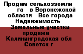 Продам сельхозземли ( 6 000 га ) в Воронежской области - Все города Недвижимость » Земельные участки продажа   . Калининградская обл.,Советск г.